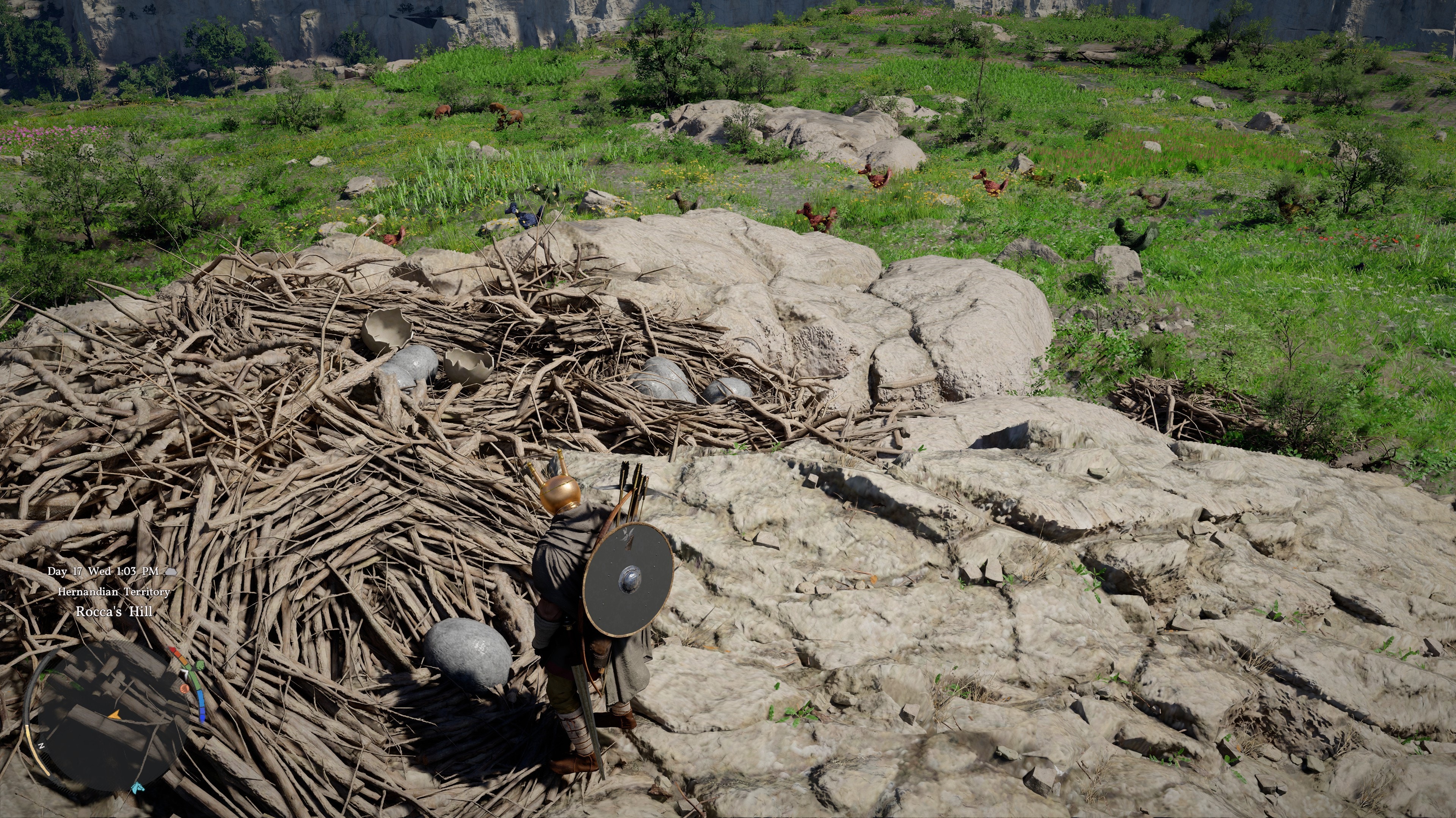 Kuku Bird Nesting Area